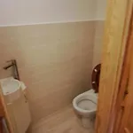 بيت ضيافة Penzion A Restaurace U Baby Subrovy *
