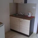 Penzion A Restaurace U Baby Subrovy بيت ضيافة Kokorin